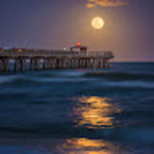 Meet your Posher, Kamryn